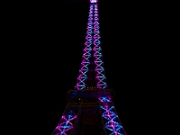 Paris 12-26-09 image 42